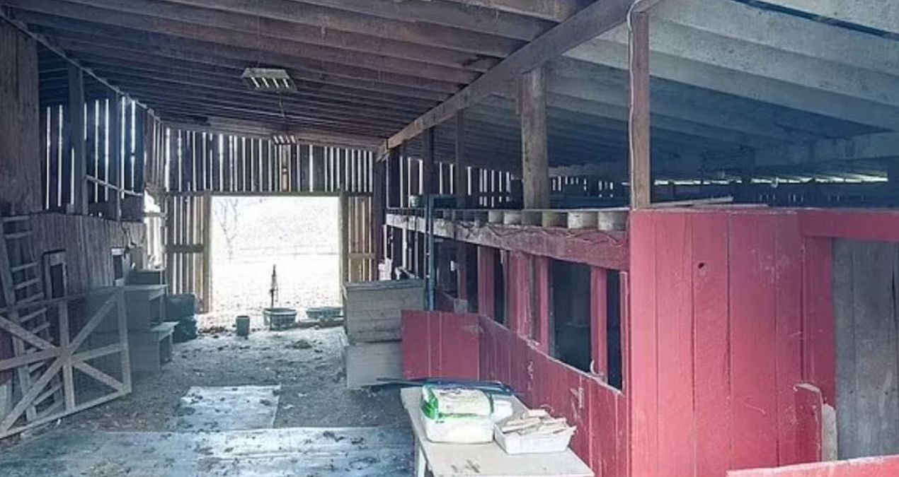 5 çocuğu evlat edinip istismar ettiler: Komşuları ihbar etti